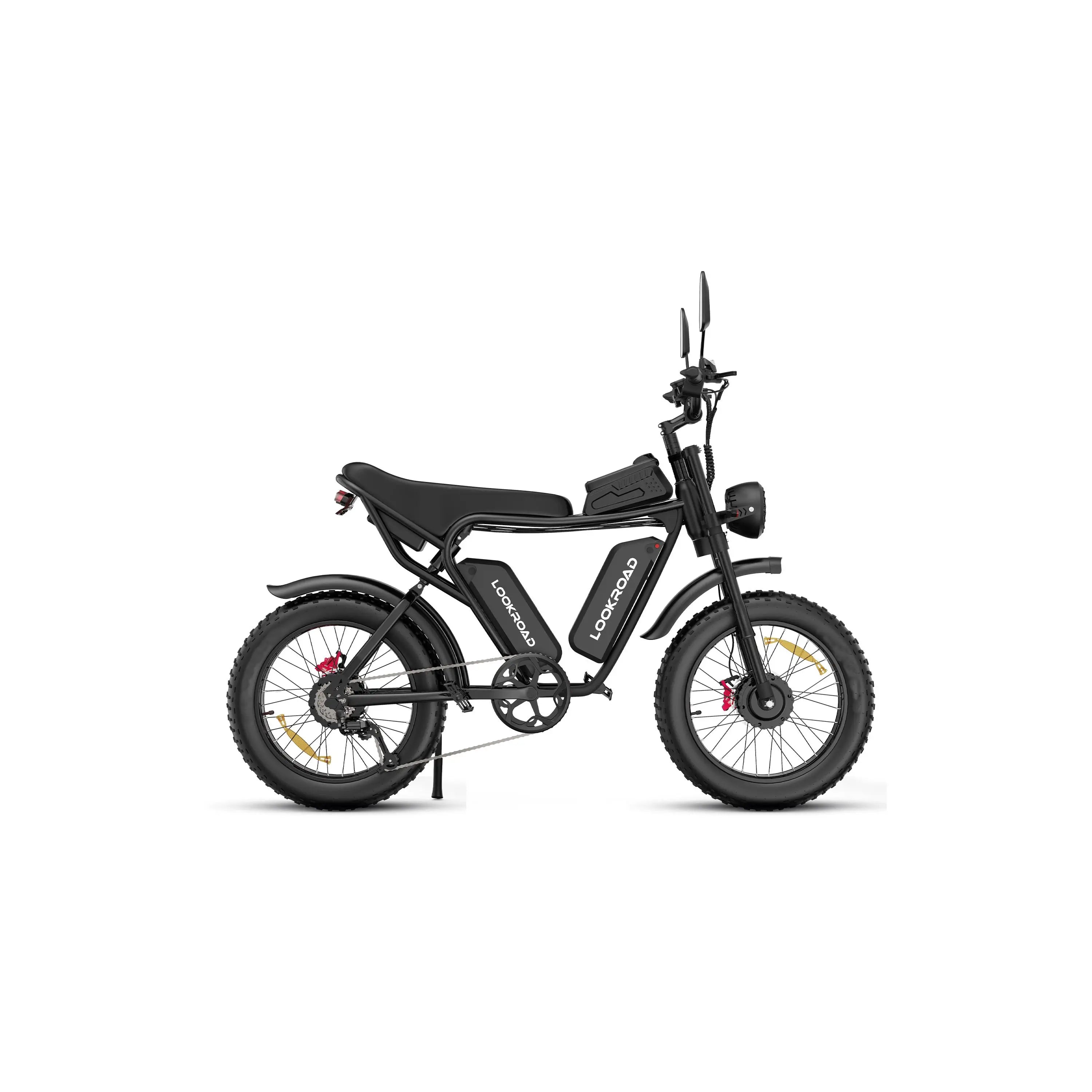 L20 PRO Electric Bike