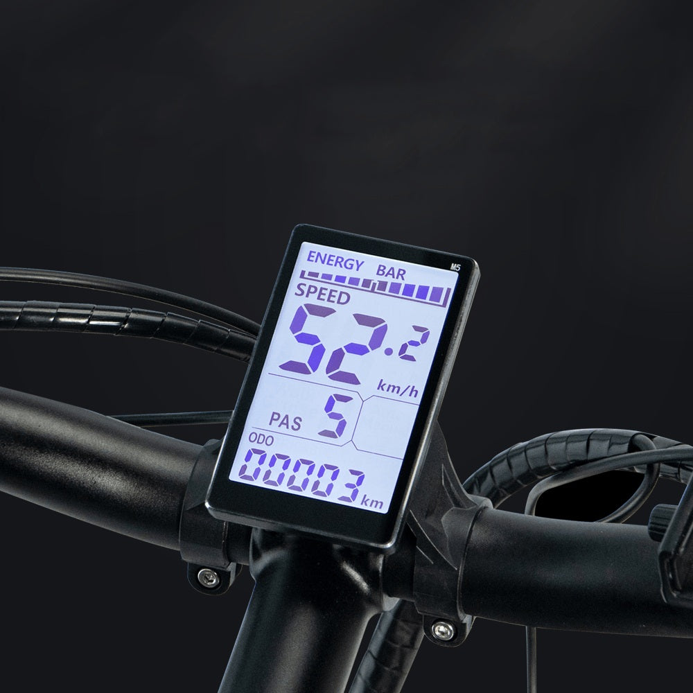 L26 Electric Bike