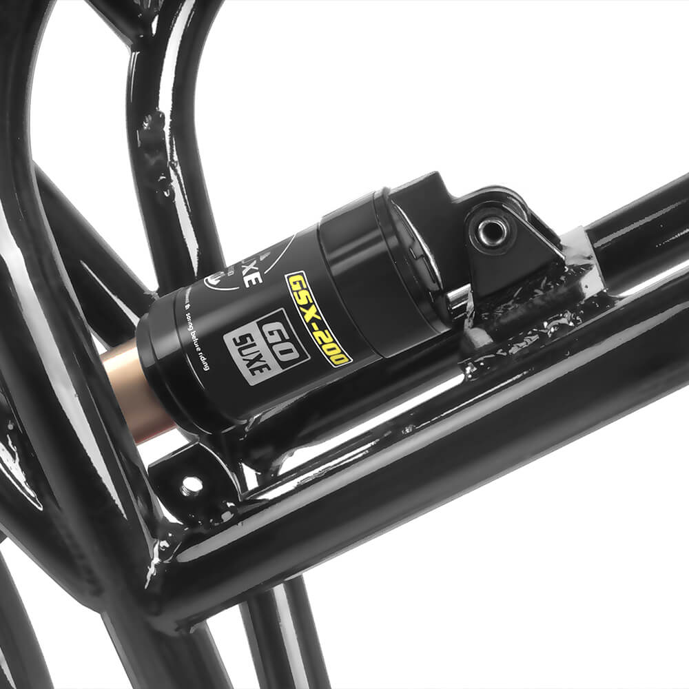 Q30 Electric Bicycle