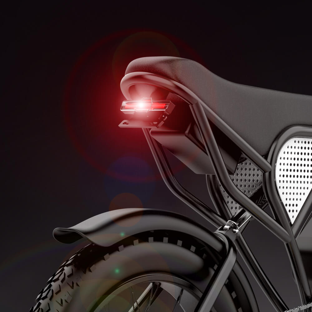 Q30 Electric Bicycle
