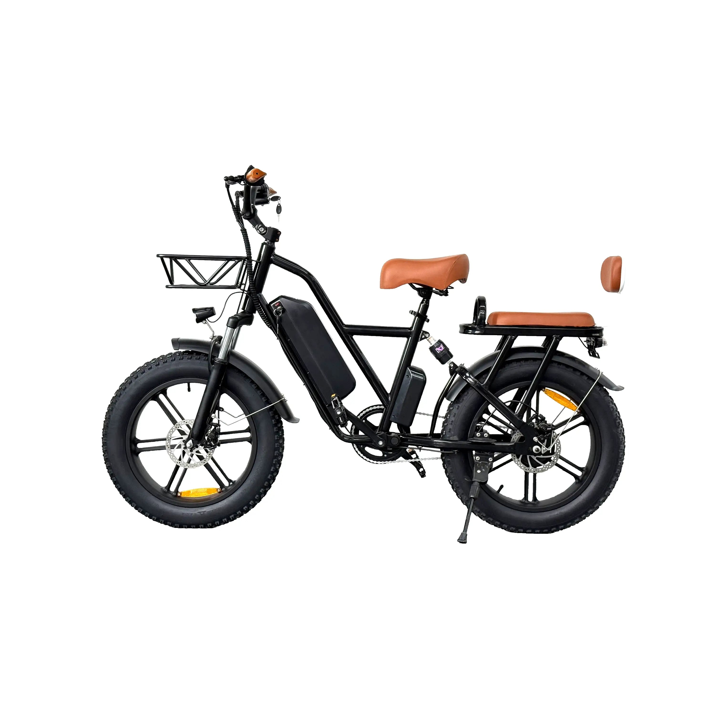 FM001 Electric Bike