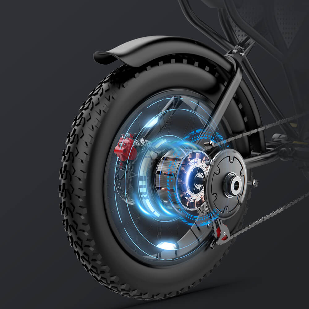 Q30 Electric Bicycle
