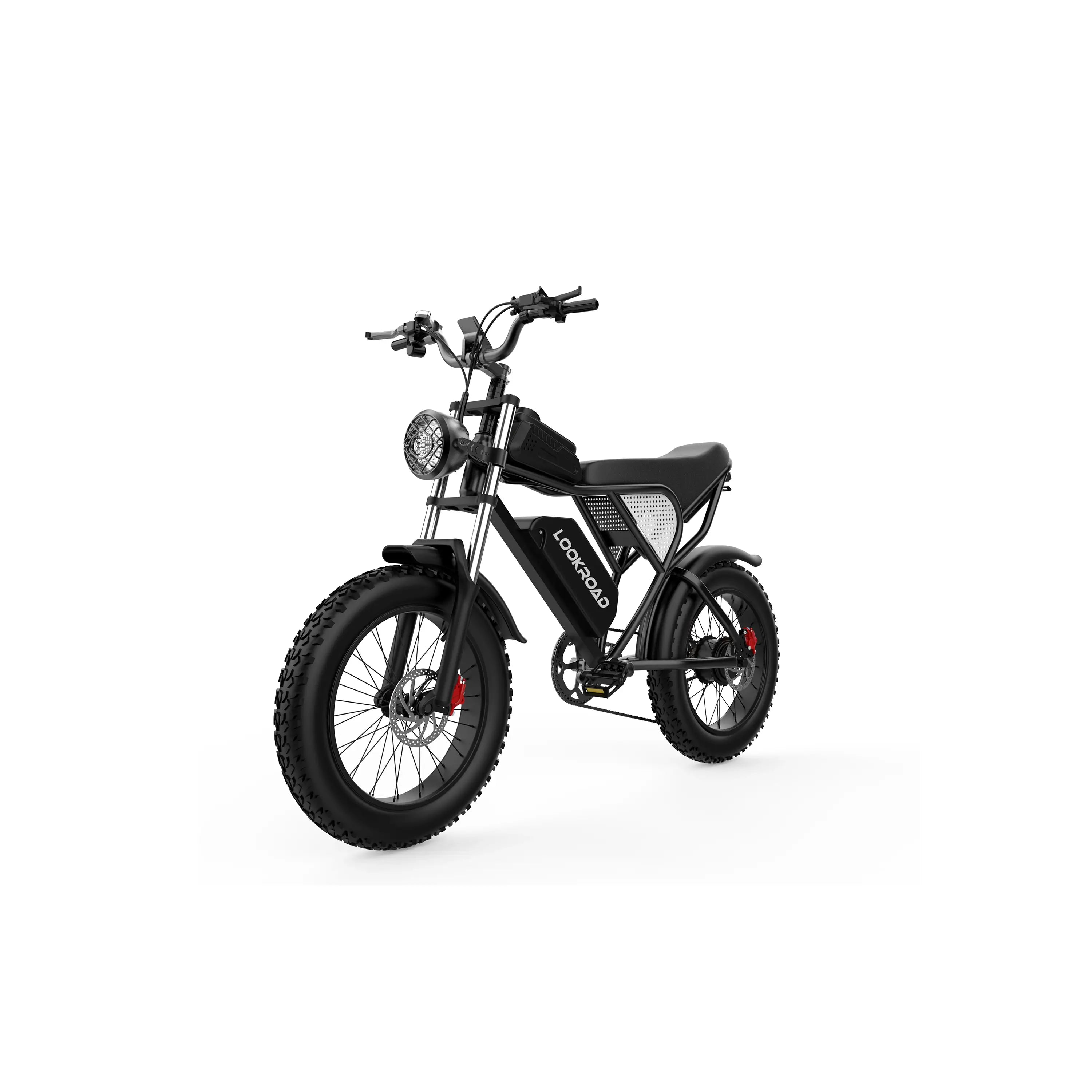 Q30 Electric Bicycle