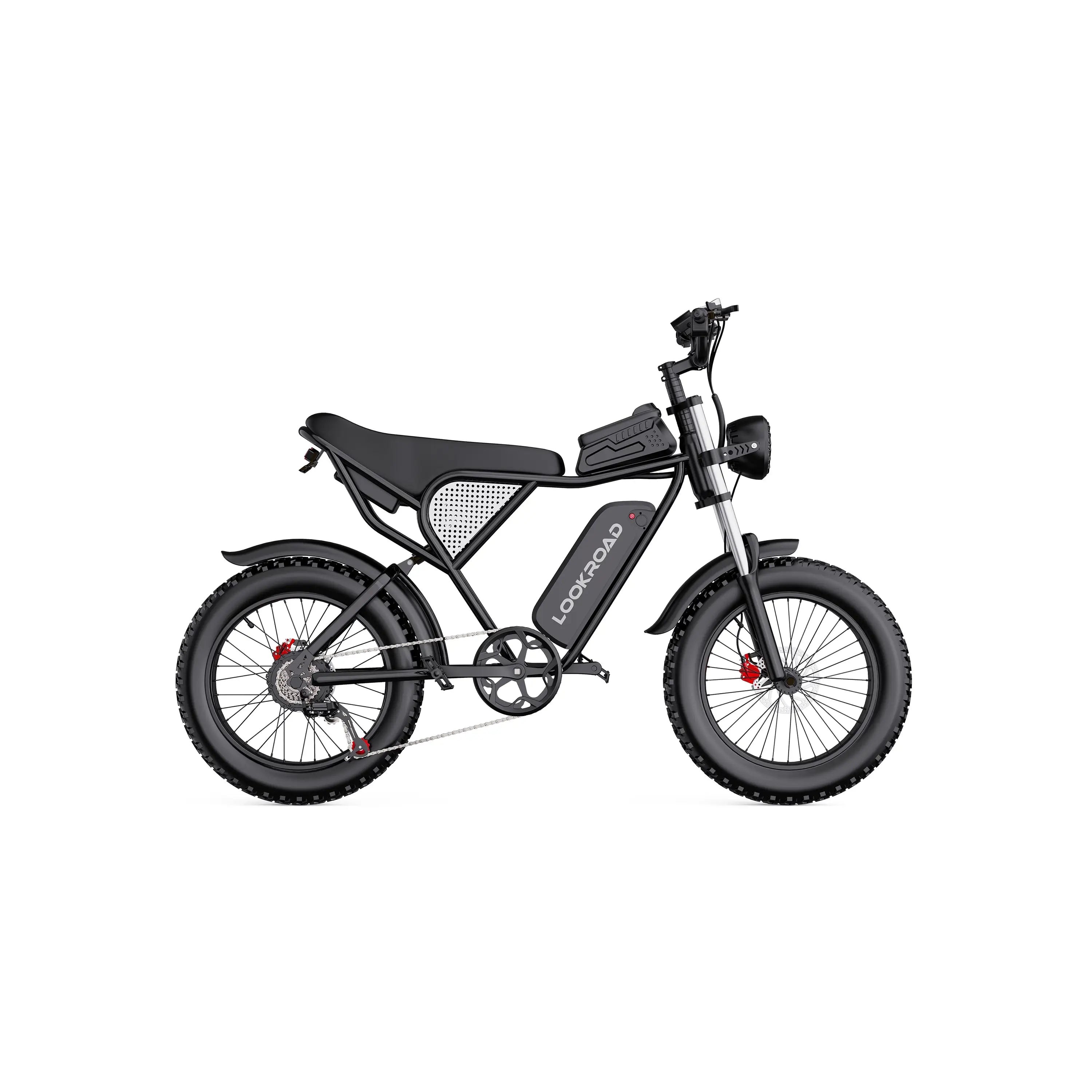Q30 Electric Bicycle