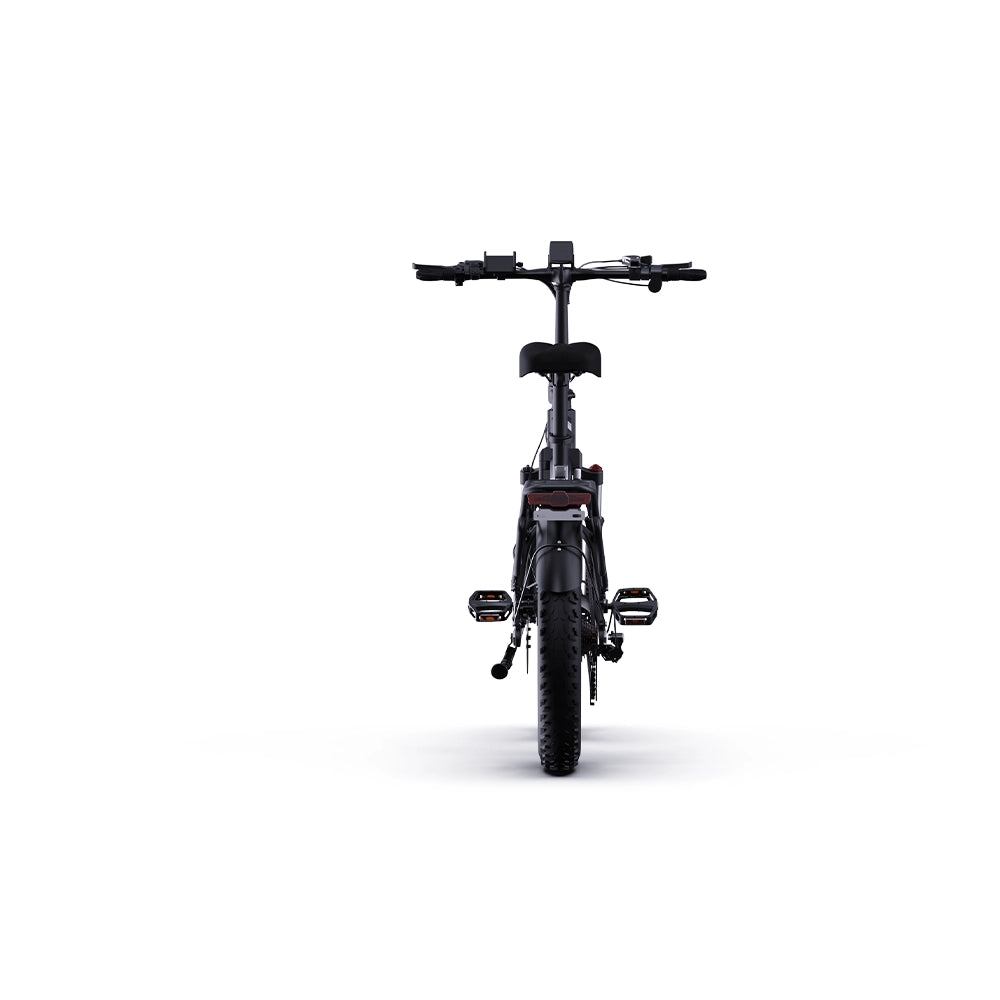 R20 Electric Bike
