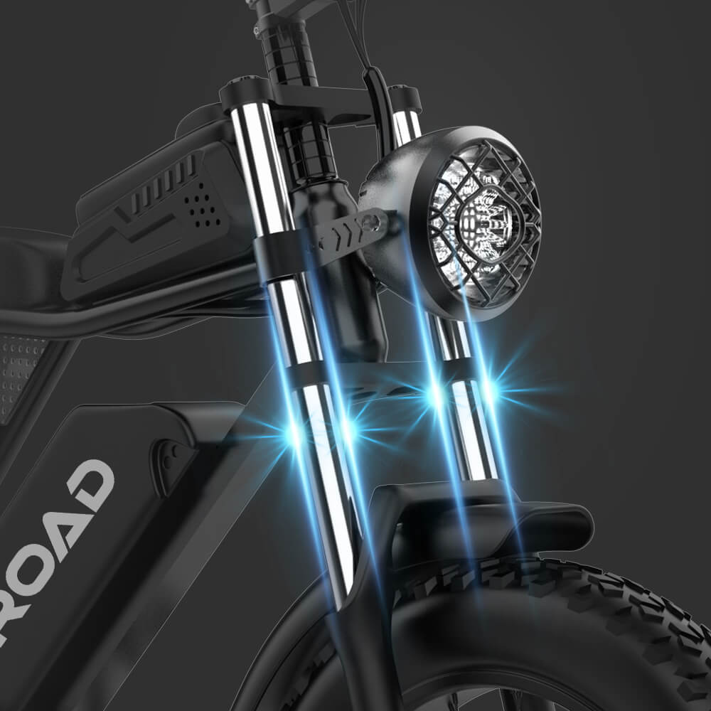 Q30 Electric Bicycle